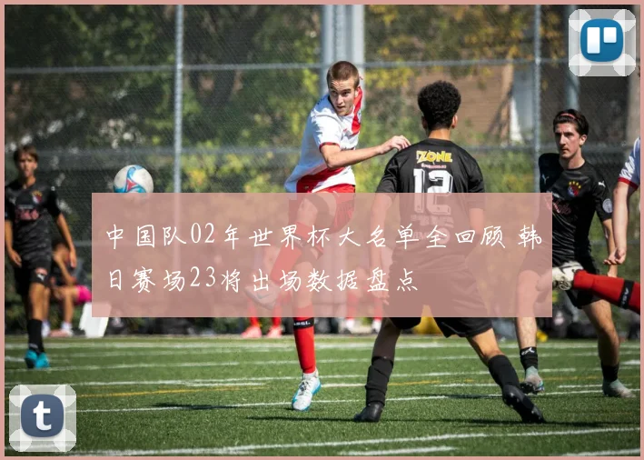 中国队02年世界杯大名单全回顾 韩日赛场23将出场数据盘点