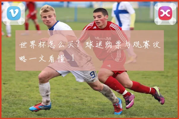 世界杯怎么买?球迷购票与观赛攻略一文看懂_1