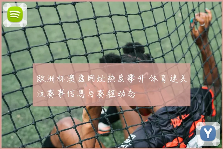 欧洲杯澳盘网址热度攀升 体育迷关注赛事信息与赛程动态