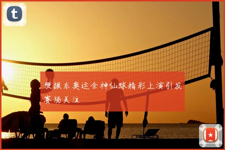 樊振东奥运会神仙球精彩上演引发赛场关注