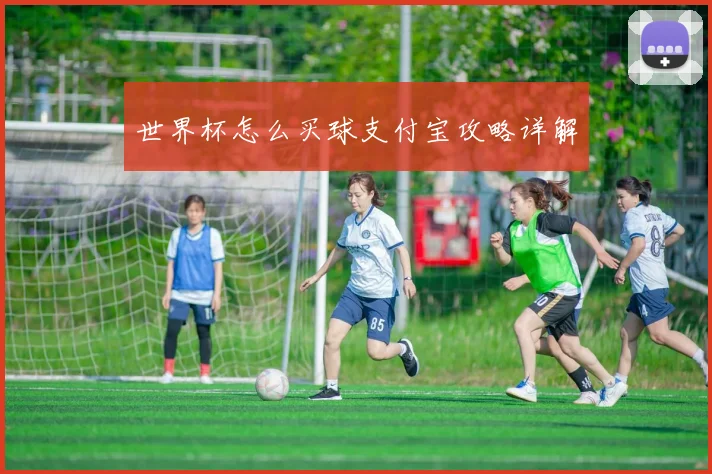 世界杯怎么买球支付宝攻略详解