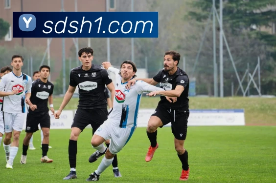 pg国际下载官网服务体系